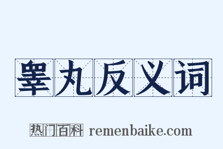 睾丸反义词是什么意思的图片
